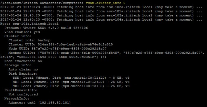 08 - VSAN cluster info.jpg