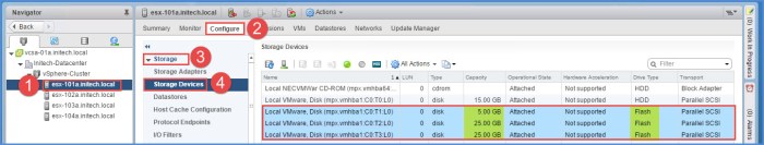 esxi-host-storage-devices