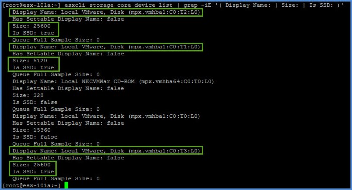 esxxcli storage core device list.jpg