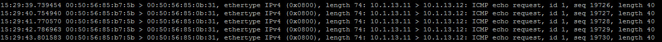 ICMP echo request 1.jpg
