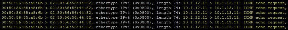 ICMP echo request 4a.jpg