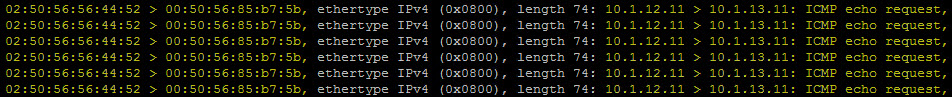 ICMP echo request 4e.jpg