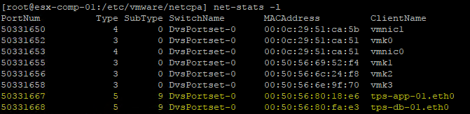 netstats-l-command