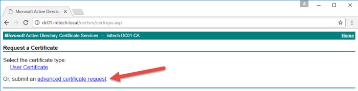 Step 10 - MS AdvCertReq.jpg