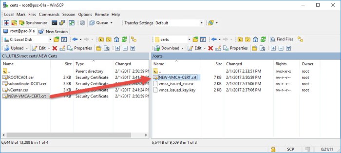 Step 16 - Copy New Cert.jpg