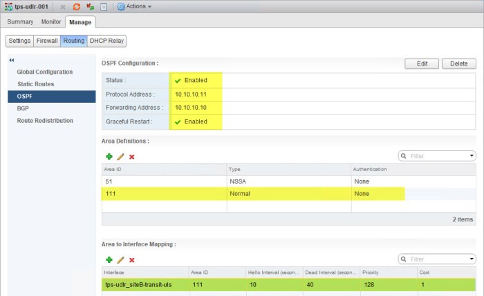 19b OSPF Area on UDLR in SiteB.jpg