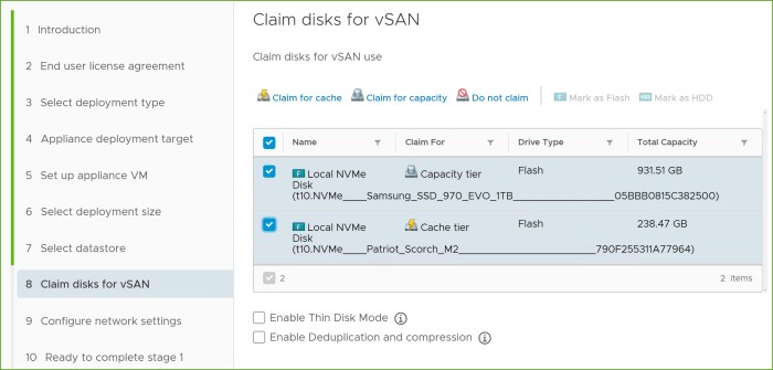 02 - vSAN Disks.jpg
