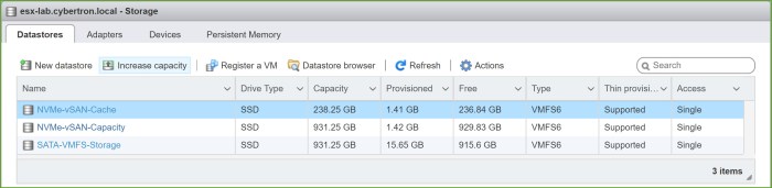 03 - local vmfs option