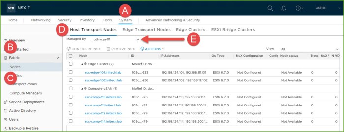 01 - Host Transport Node.jpg